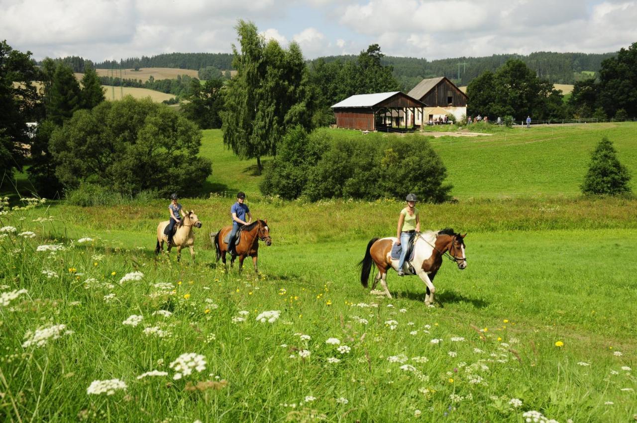 Lidmiluv Mlyn Hotel Sadek Luaran gambar