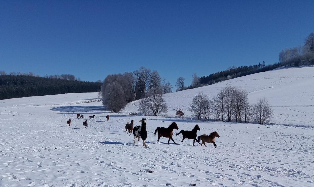 Lidmiluv Mlyn Hotel Sadek Luaran gambar